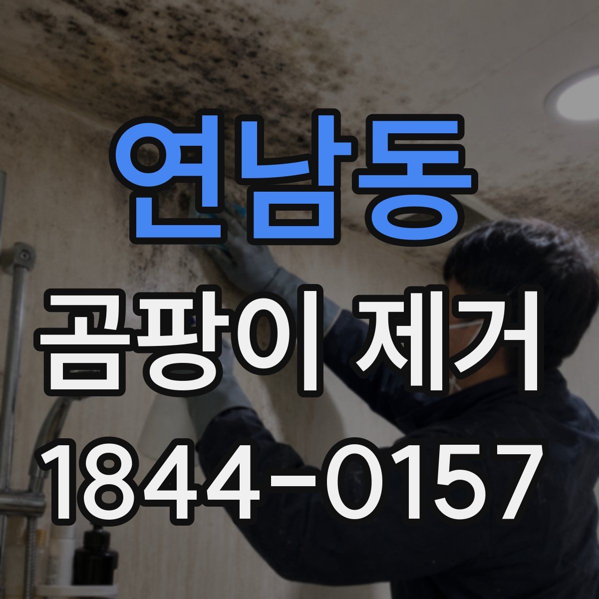 연남동 곰팡이 제거