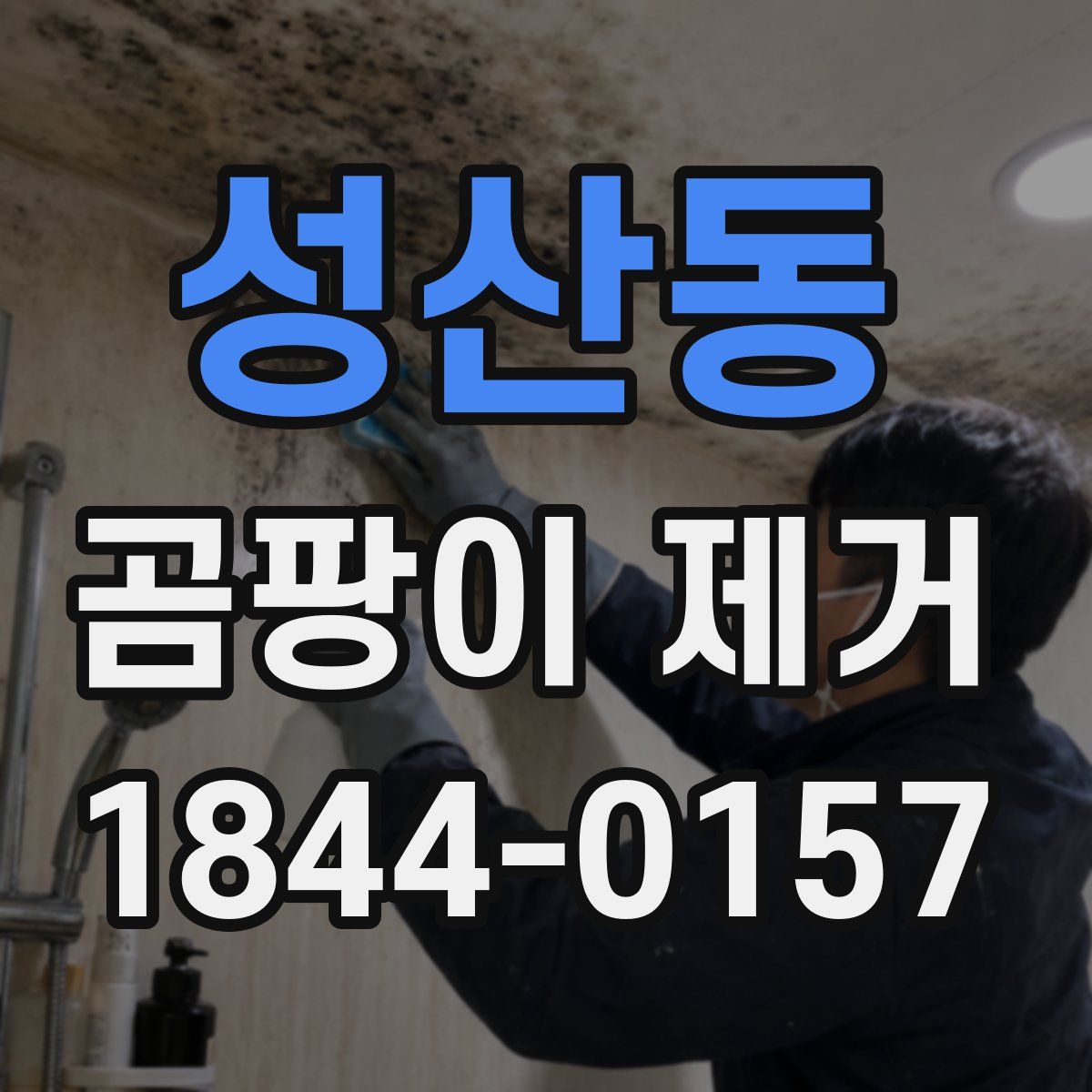 성산동 곰팡이 제거