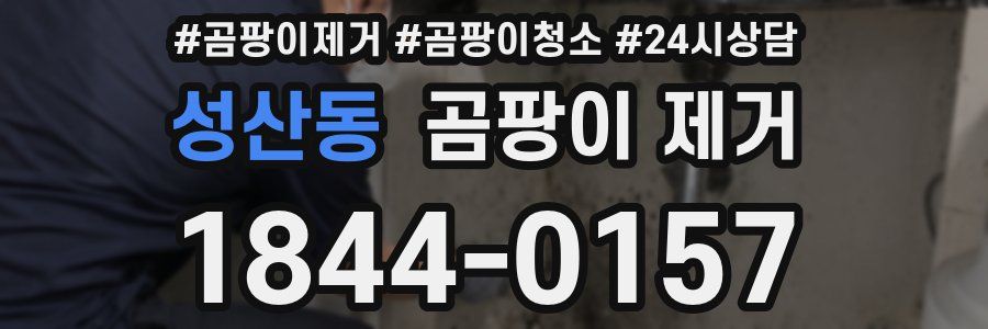 성산동 곰팡이 제거