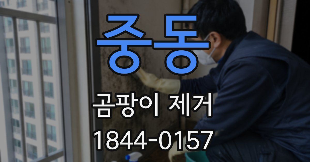 중동 곰팡이 제거