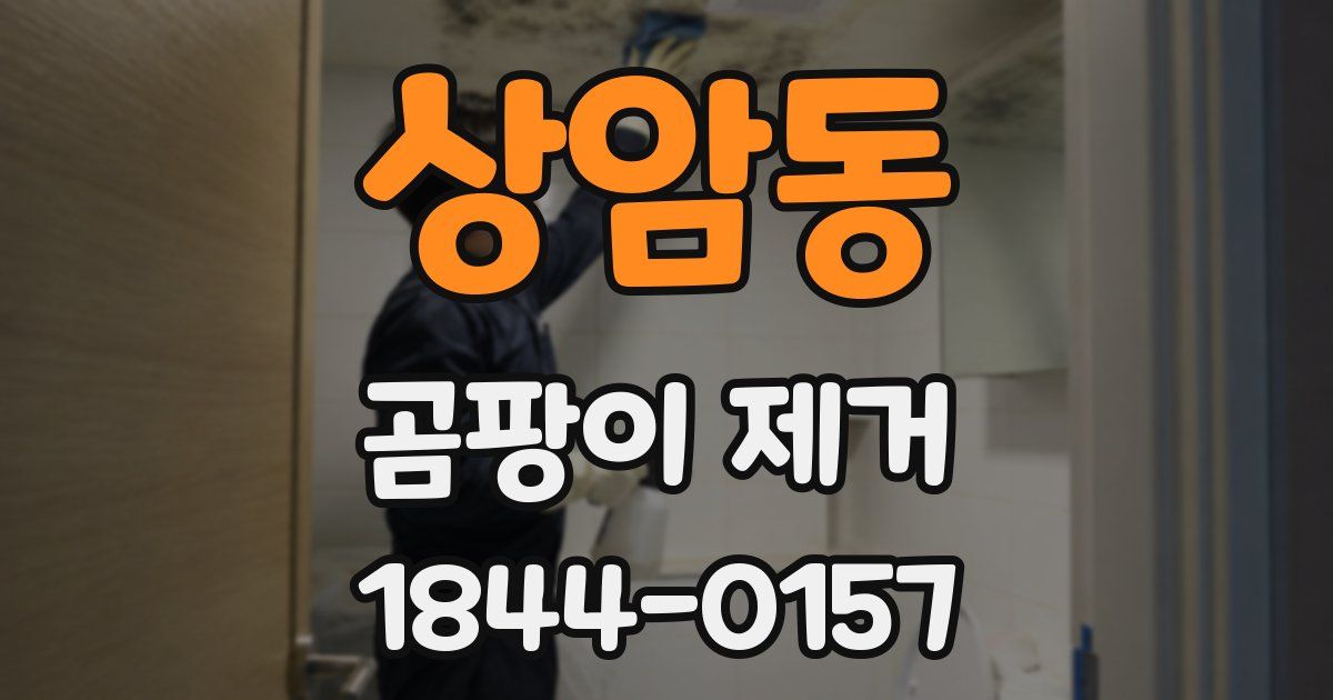 상암동 곰팡이 제거