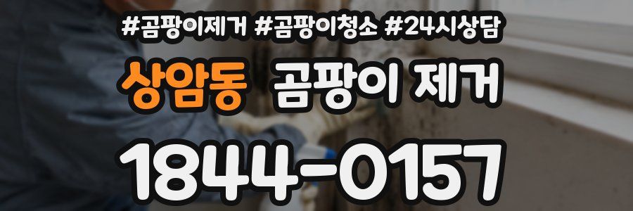 상암동 곰팡이 제거