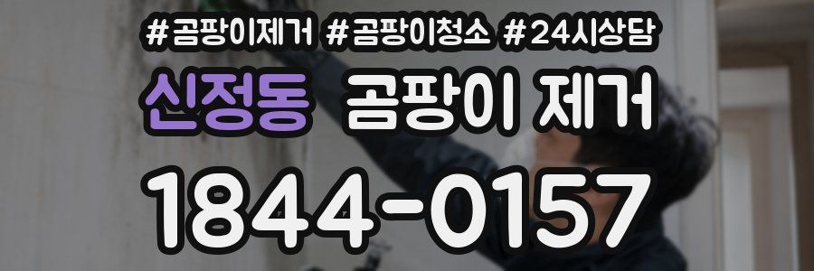신정동 곰팡이 제거