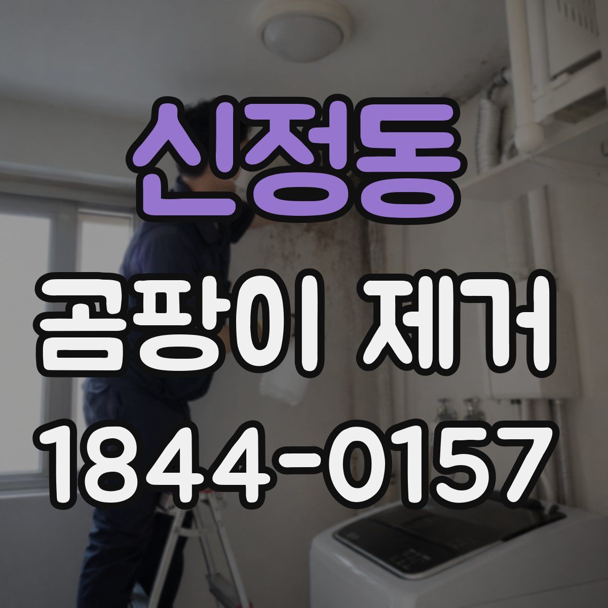신정동 곰팡이 제거