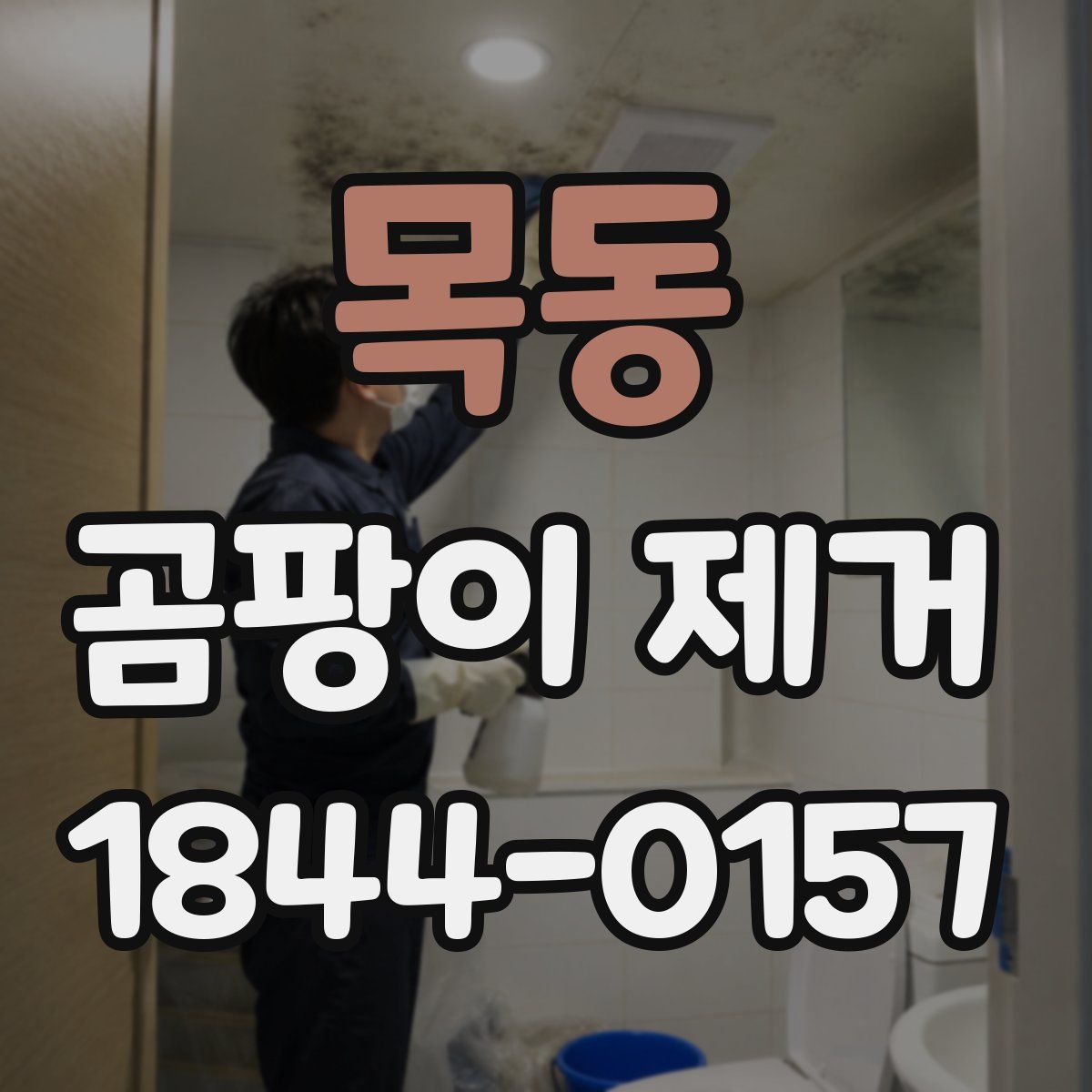 목동 곰팡이 제거