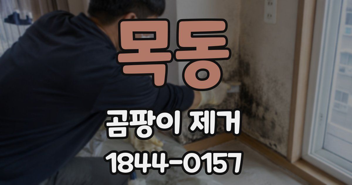 목동 곰팡이 제거