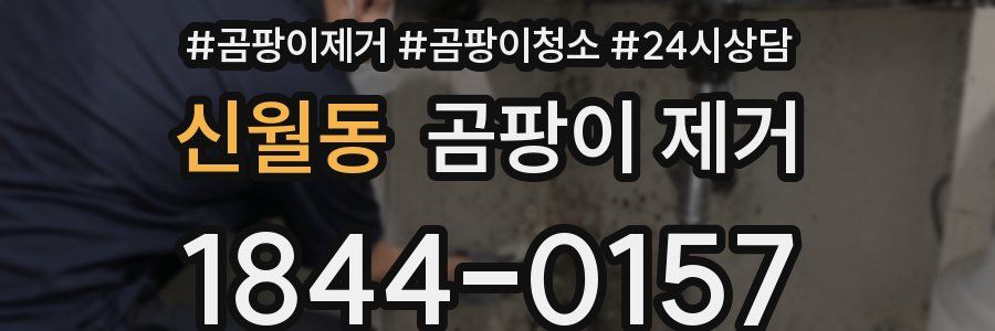 신월동 곰팡이 제거
