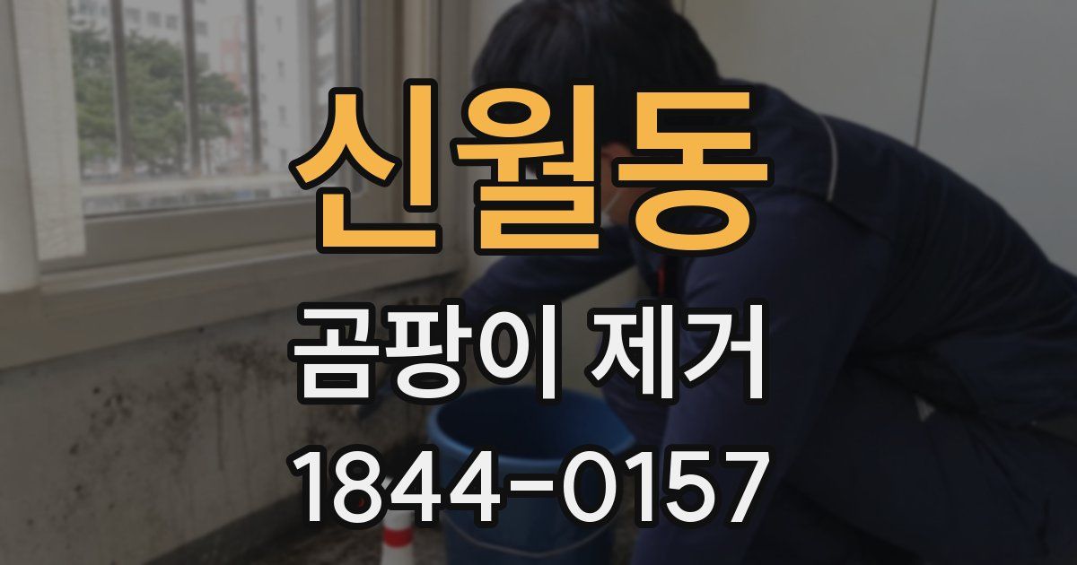 신월동 곰팡이 제거