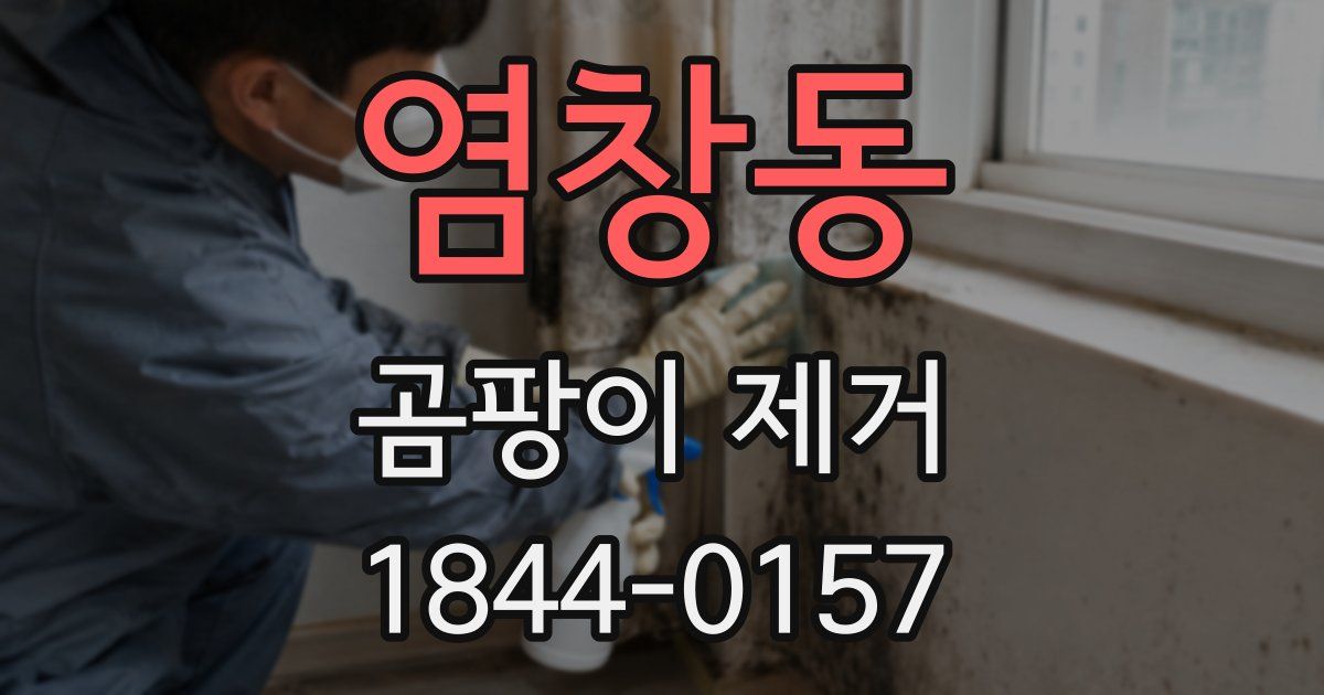 염창동 곰팡이 제거