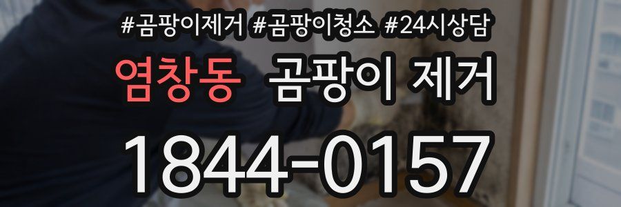 염창동 곰팡이 제거