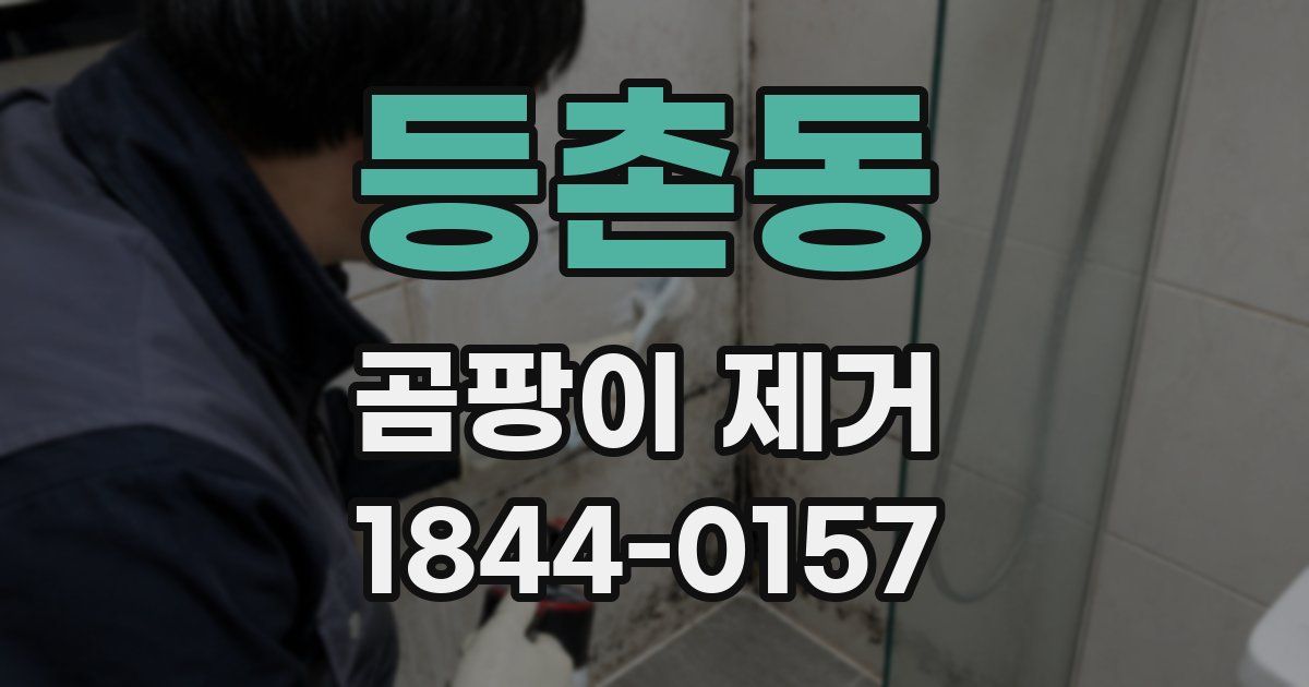 등촌동 곰팡이 제거