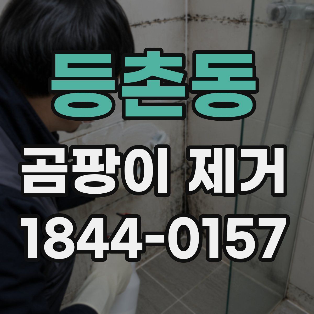 등촌동 곰팡이 제거