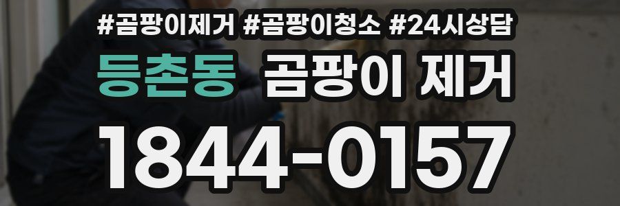 등촌동 곰팡이 제거