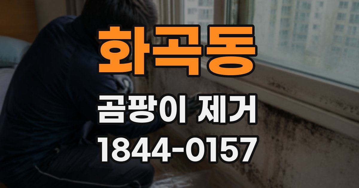 화곡동 곰팡이 제거