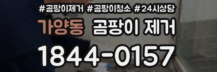 가양동 곰팡이 제거