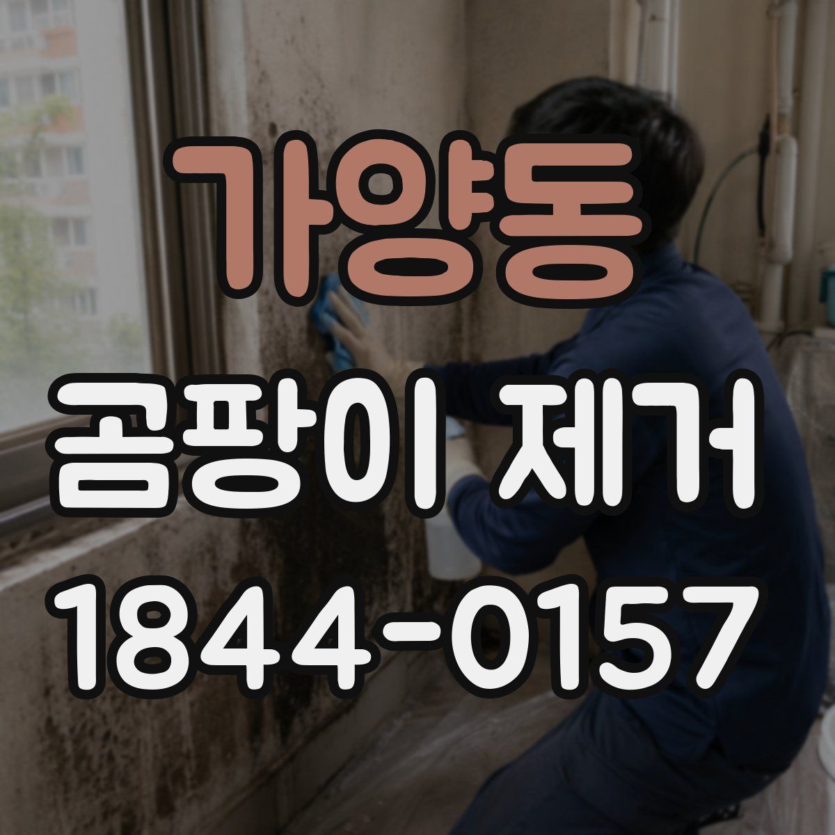 가양동 곰팡이 제거