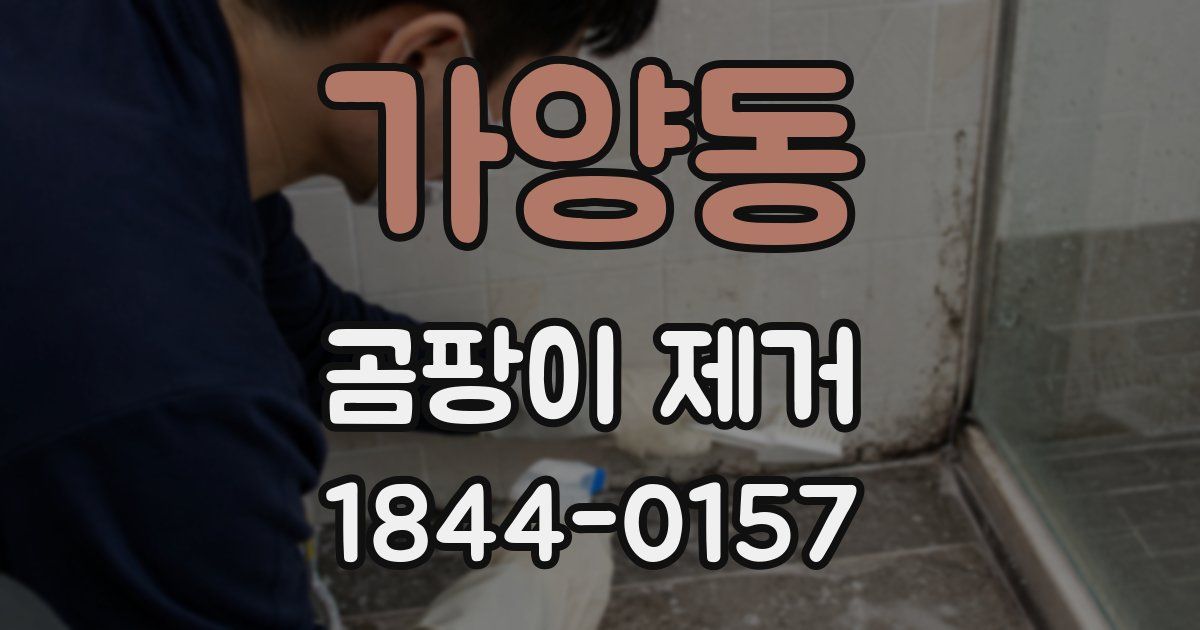 가양동 곰팡이 제거