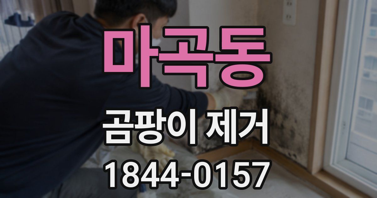 마곡동 곰팡이 제거