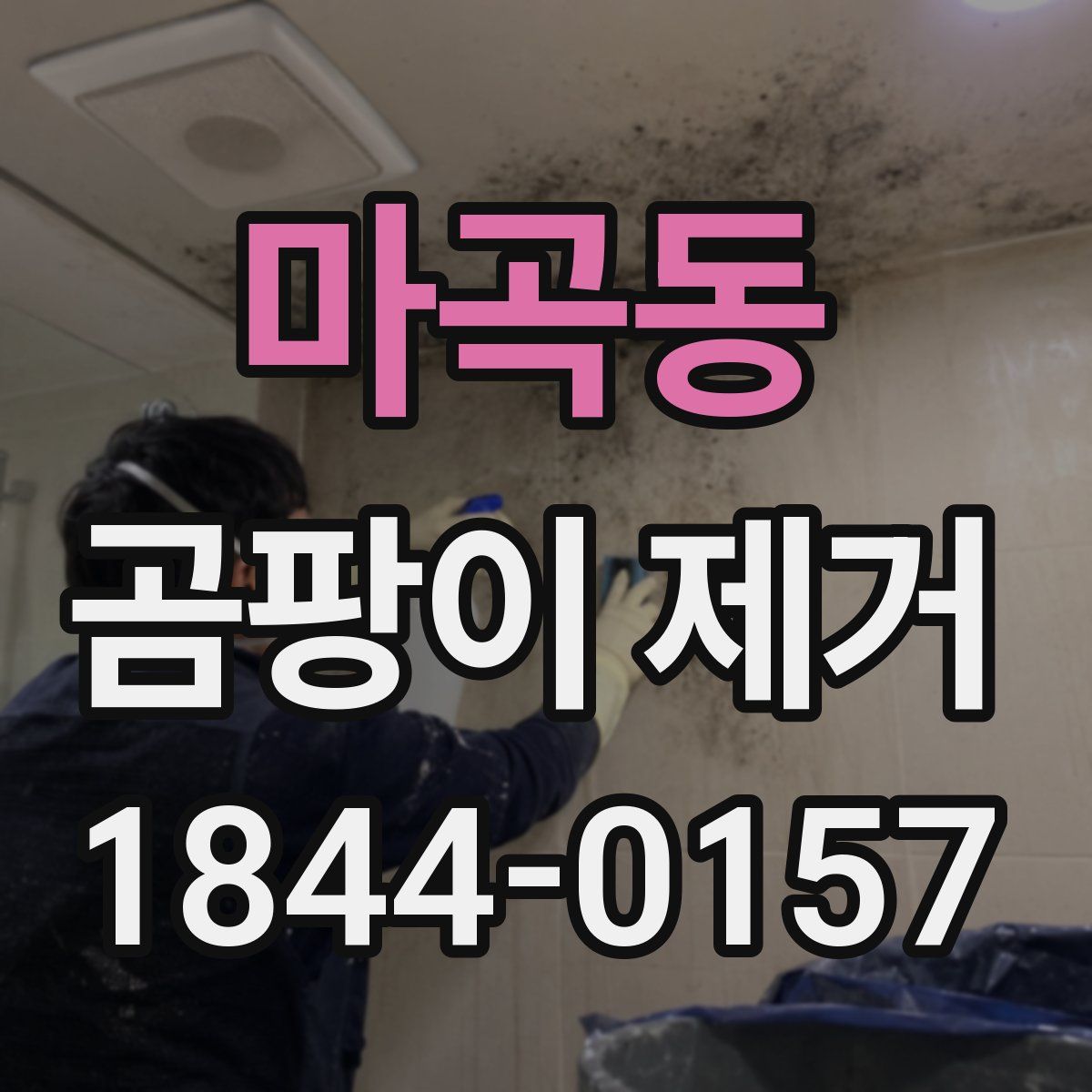 마곡동 곰팡이 제거