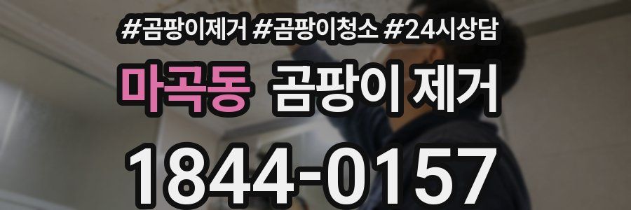 마곡동 곰팡이 제거