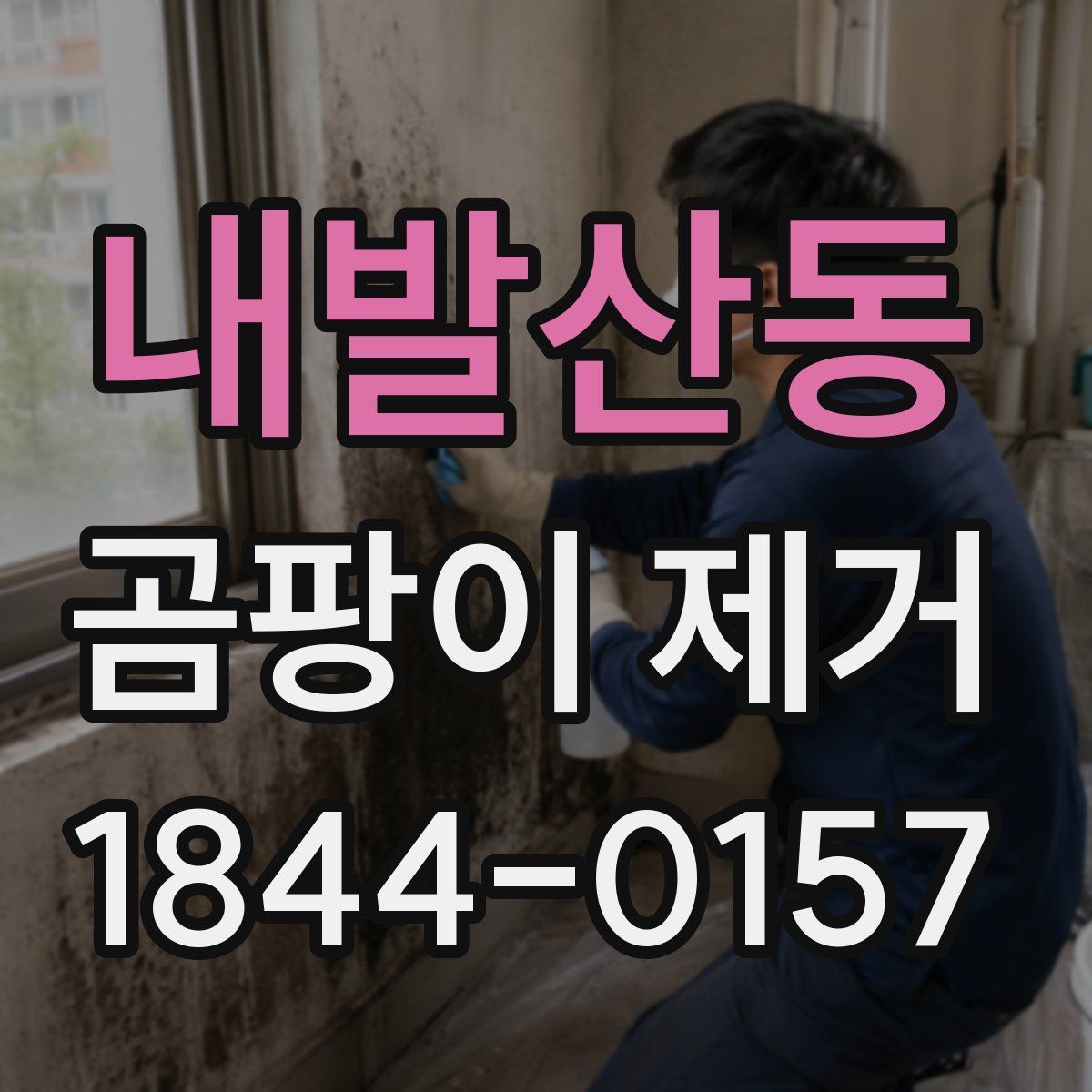 내발산동 곰팡이 제거