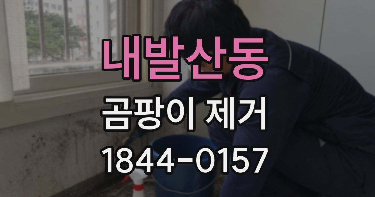 내발산동 곰팡이 제거