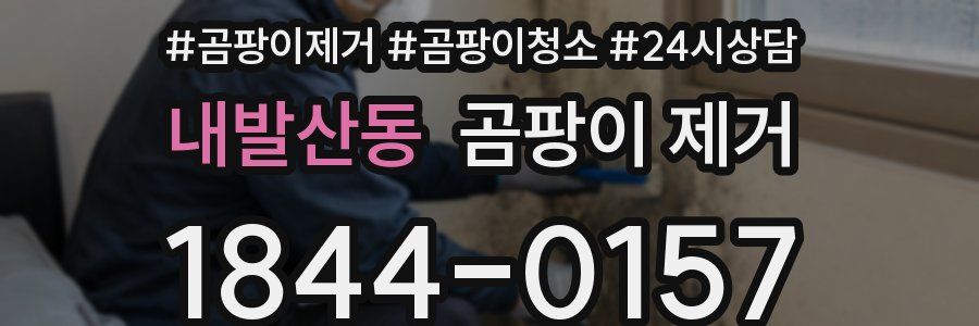 내발산동 곰팡이 제거
