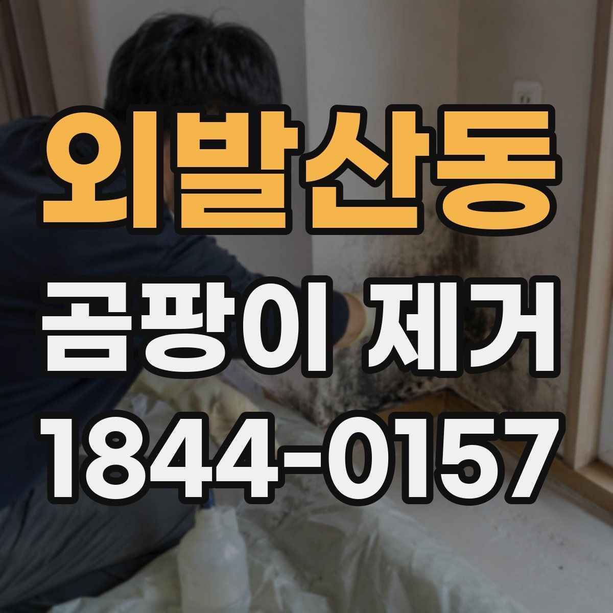 외발산동 곰팡이 제거 실내 습도 높아질 때 나타나는 초기 신호