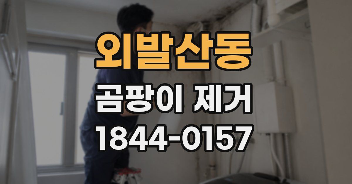 외발산동 곰팡이 제거