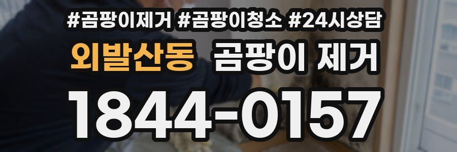 외발산동 곰팡이 제거