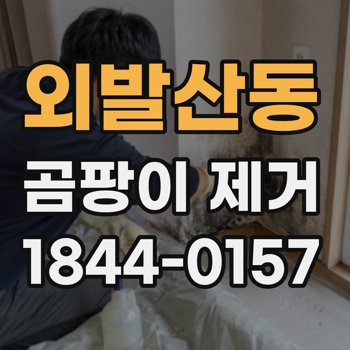 외발산동 곰팡이 제거