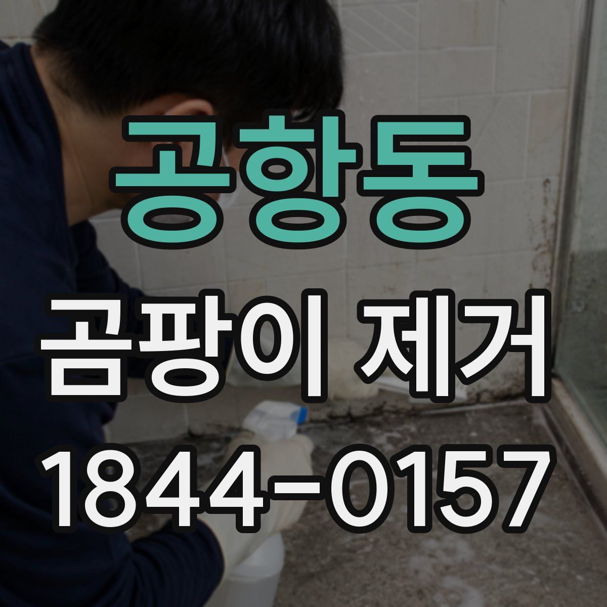 공항동 곰팡이 제거