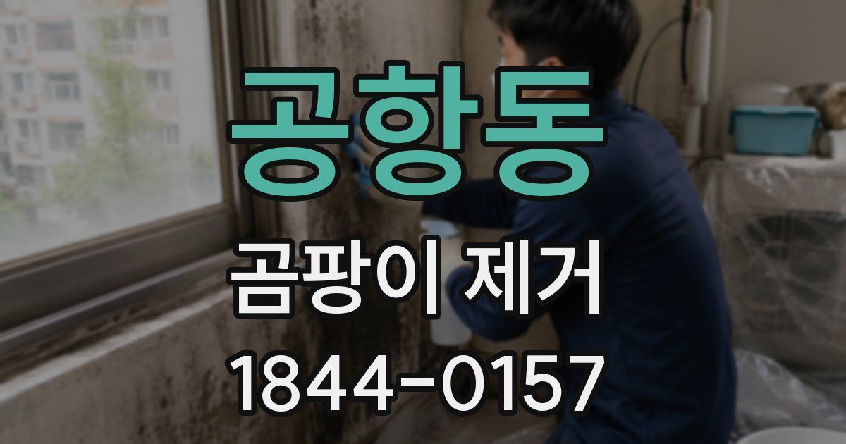 공항동 곰팡이 제거