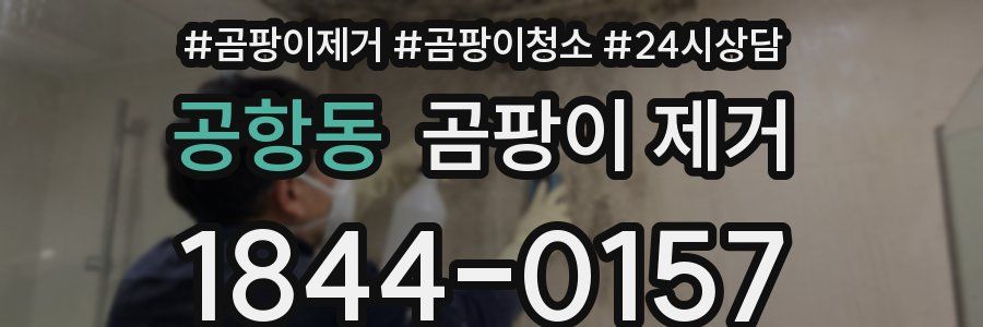 공항동 곰팡이 제거