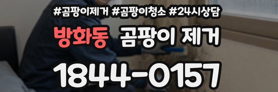 방화동 곰팡이 제거