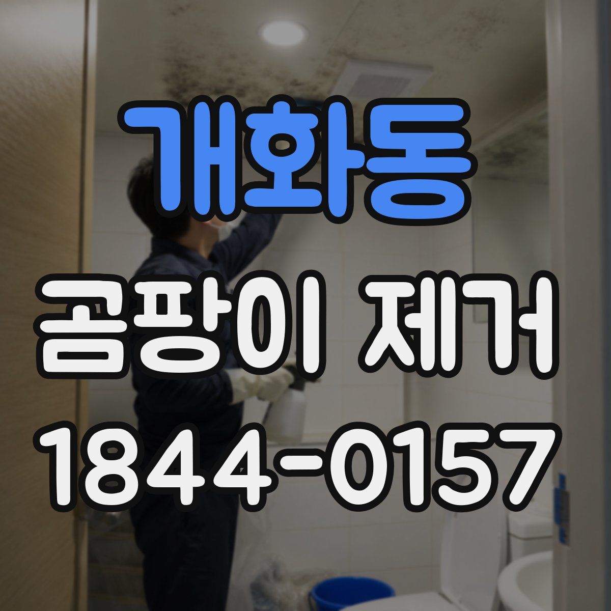 개화동 곰팡이 제거