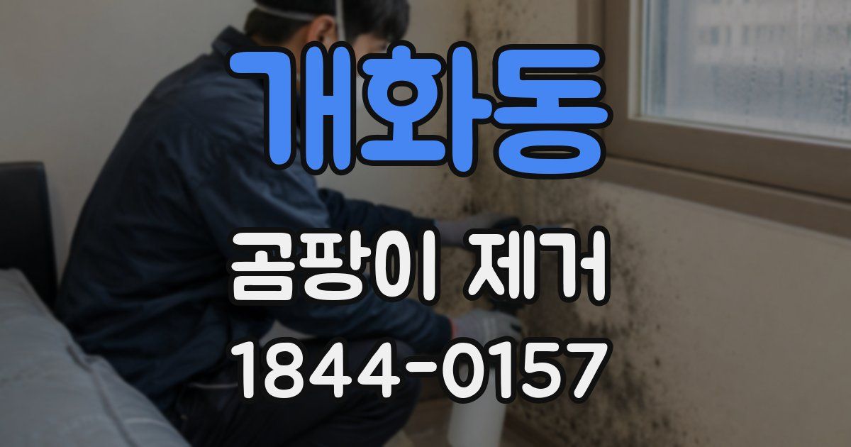 개화동 곰팡이 제거