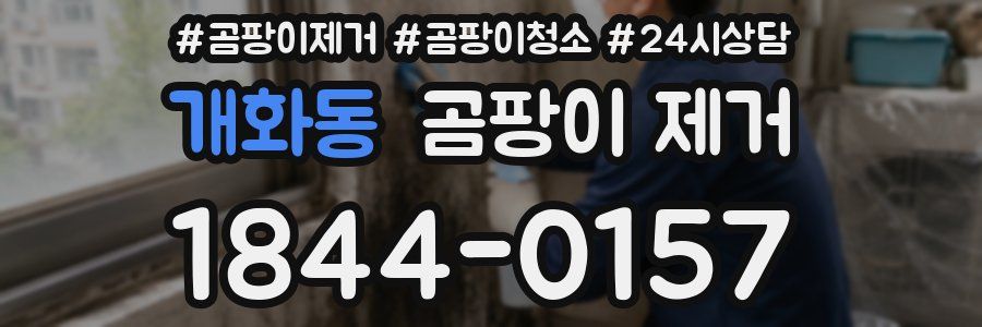 개화동 곰팡이 제거