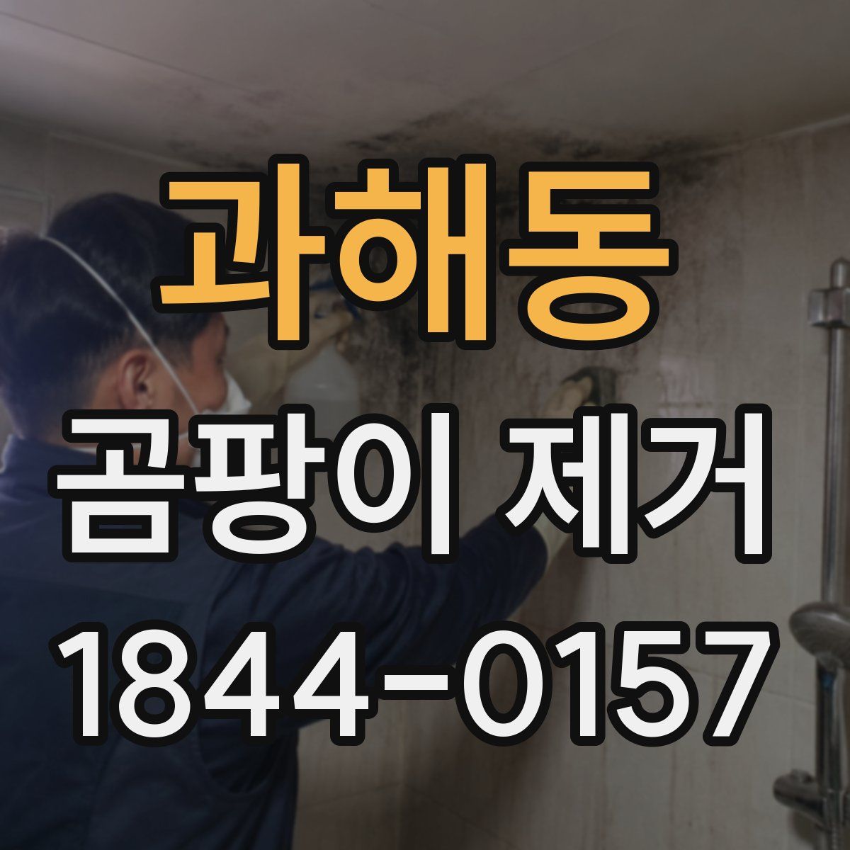 과해동 곰팡이 제거