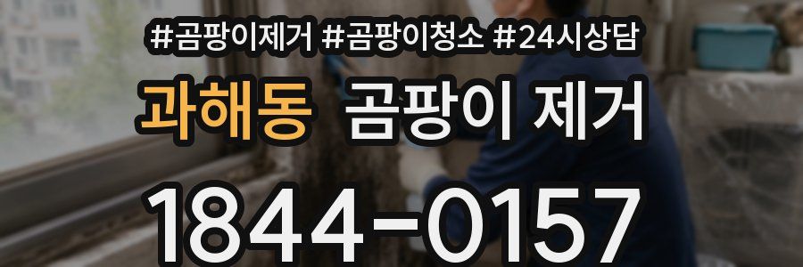과해동 곰팡이 제거
