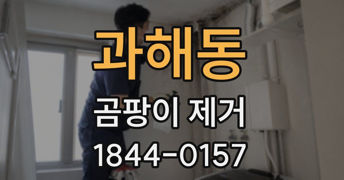 과해동 곰팡이 제거
