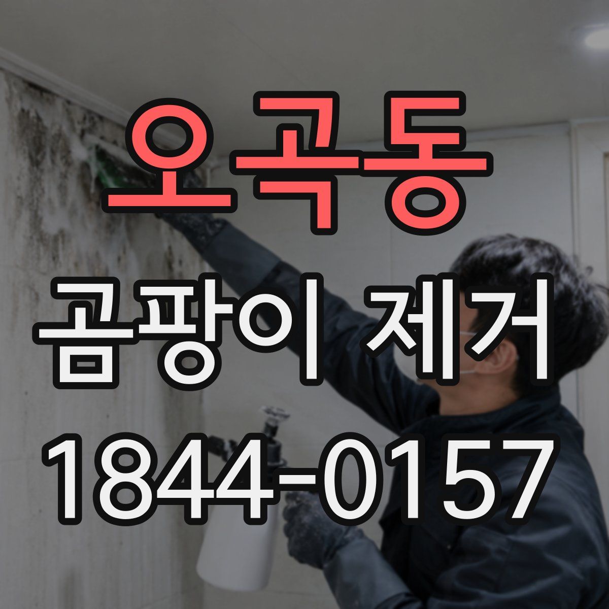 오곡동 곰팡이 제거