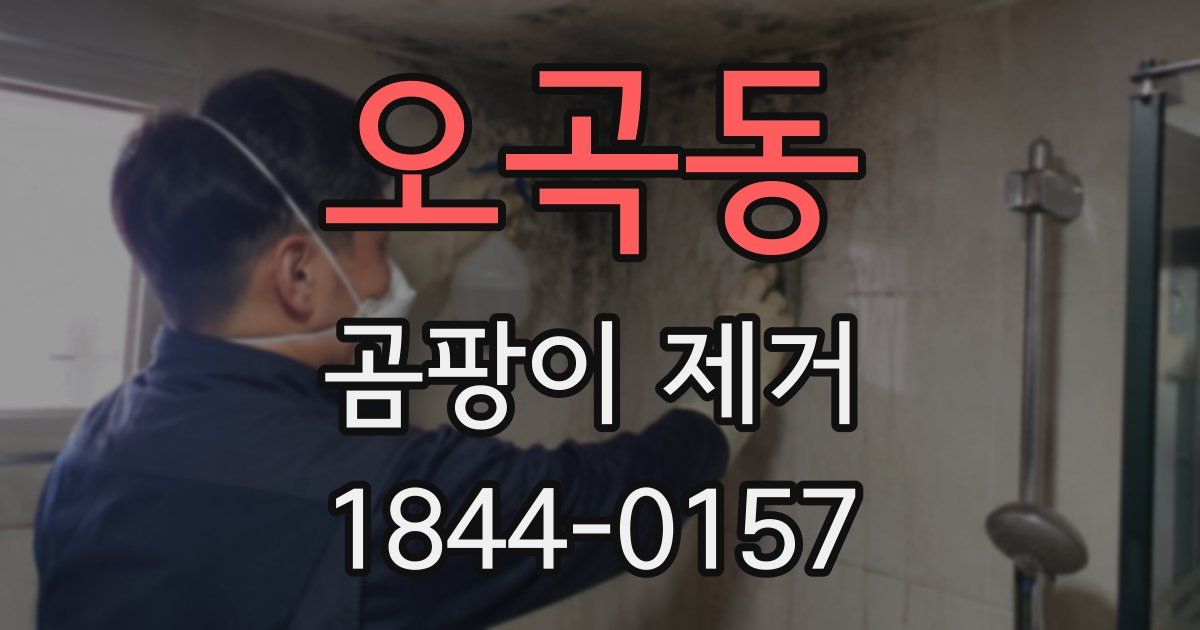 오곡동 곰팡이 제거