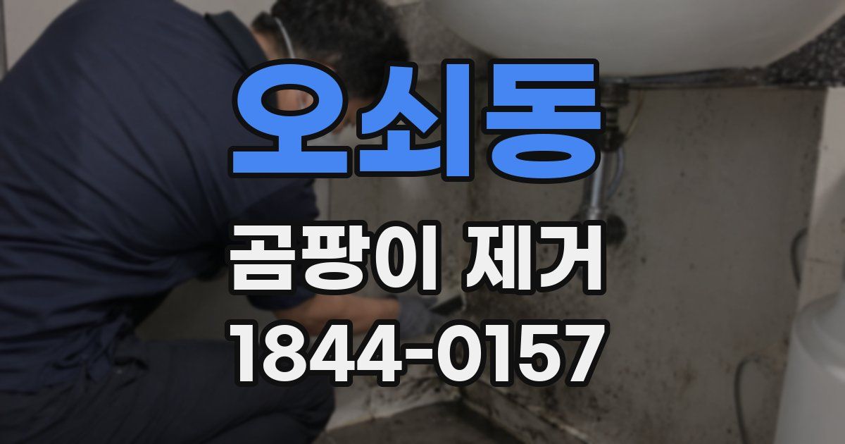 오쇠동 곰팡이 제거