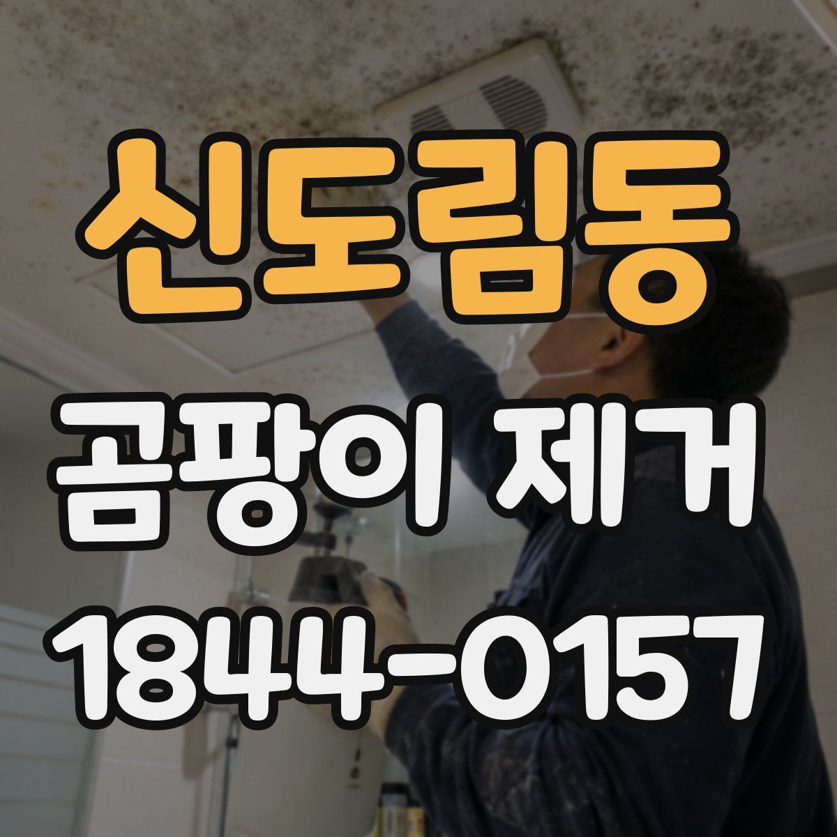 신도림동 곰팡이 제거