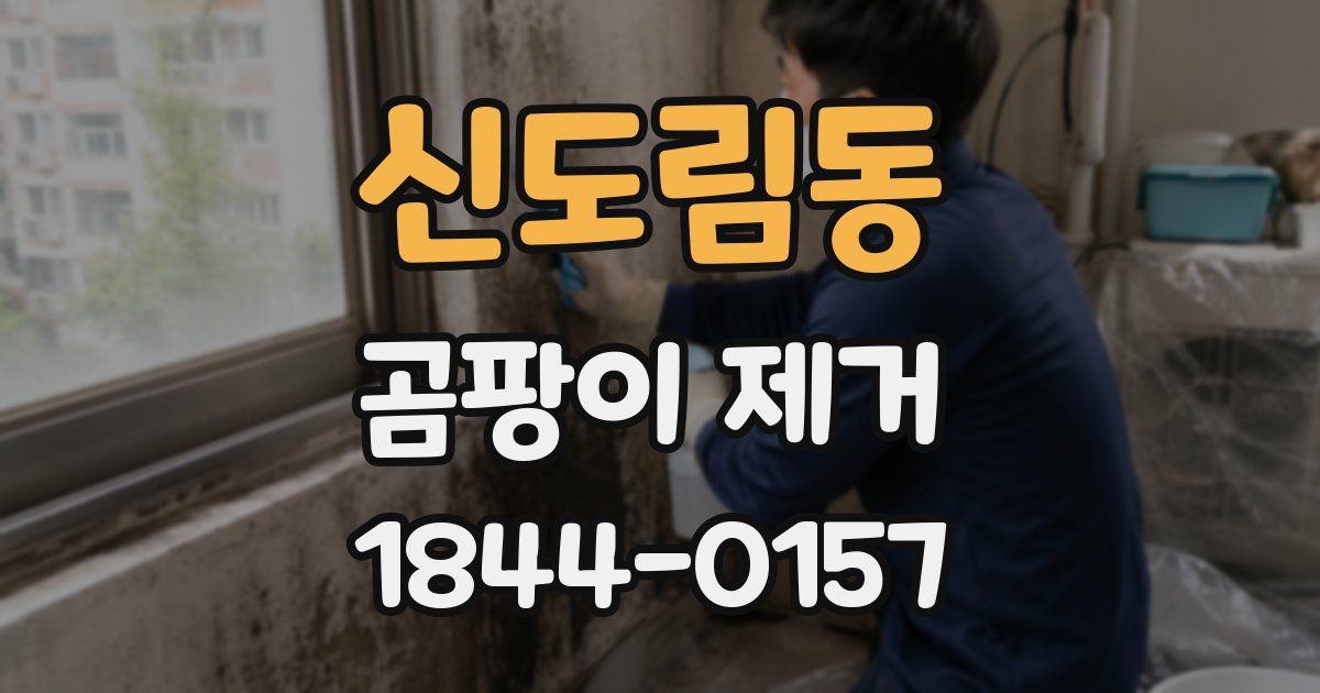 신도림동 곰팡이 제거