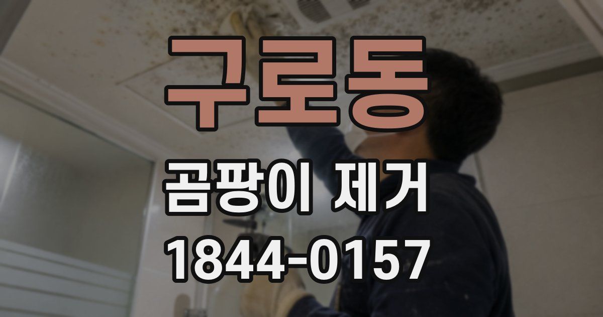 구로동 곰팡이 제거