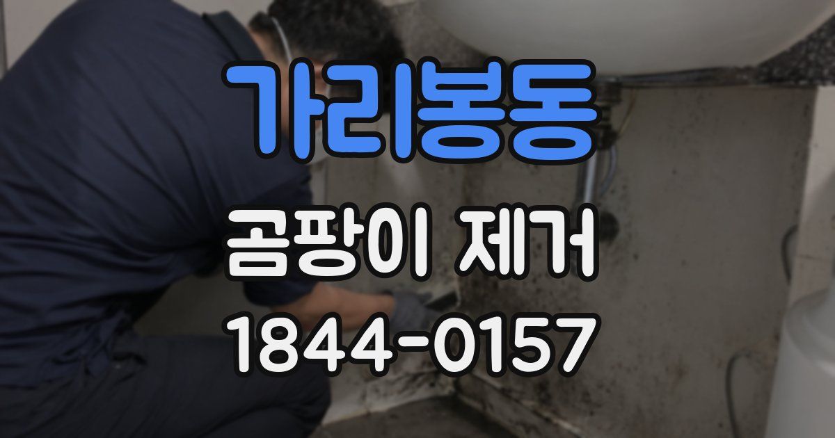가리봉동 곰팡이 제거