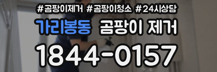가리봉동 곰팡이 제거