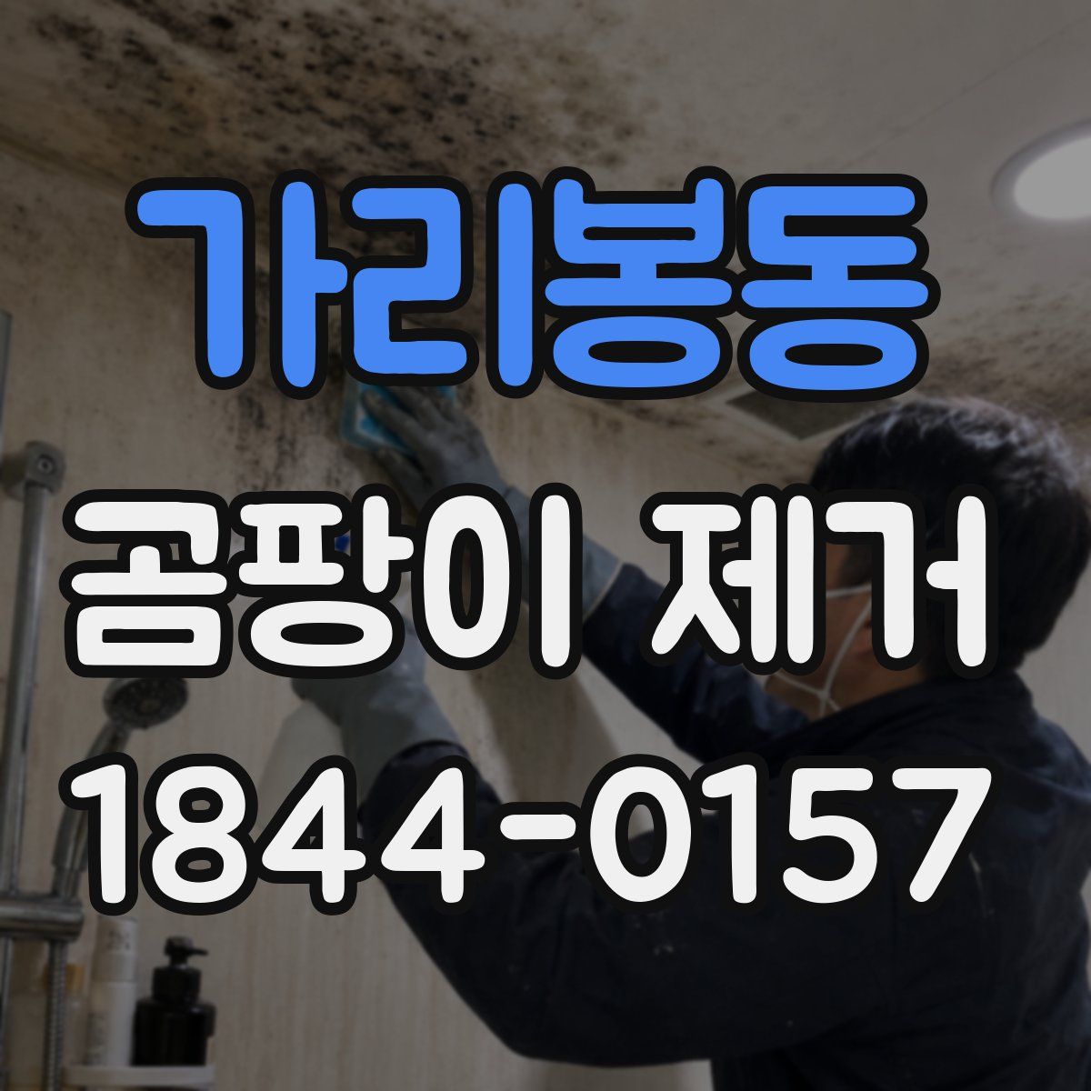 가리봉동 곰팡이 제거